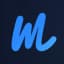 Waveloomv1.0 logo