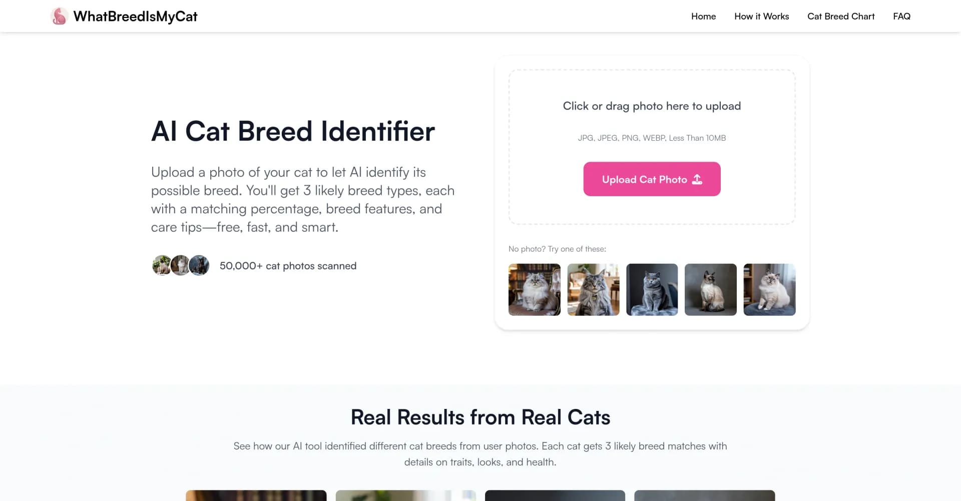 WhatBreedIsMyCat homepage screenshot — Identify your cat's breed with AI in seconds