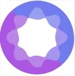 Wisdomise logo