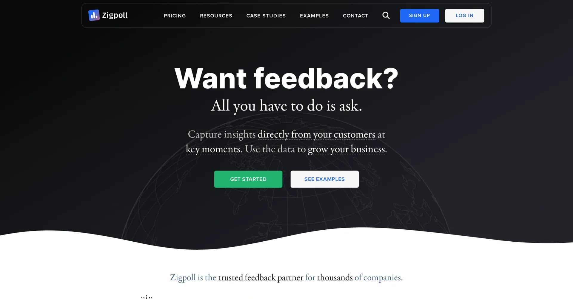 Zigpoll homepage screenshot — Capture customer insights to fuel business growth.