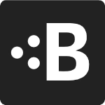 BraintrustData official logo