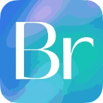 Bridge official logo