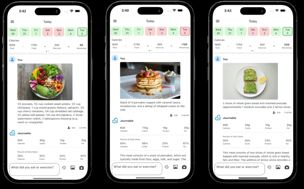 Journable — AI Calorie Counter interface showing homepage