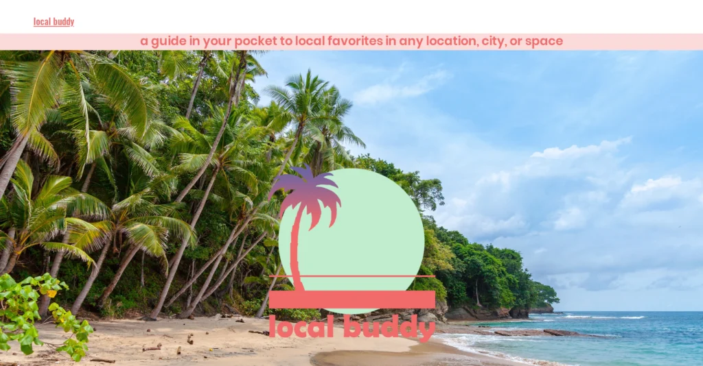 Local Buddy interface showing homepage