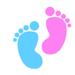 Name My Baby official logo