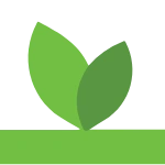 Open eLMS AI official logo