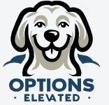 Options Elevated