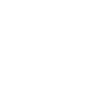 Reeler AI