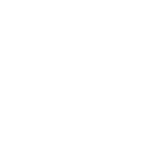 Startrs AI