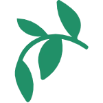 Thumos Care official logo