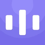 Voiser official logo