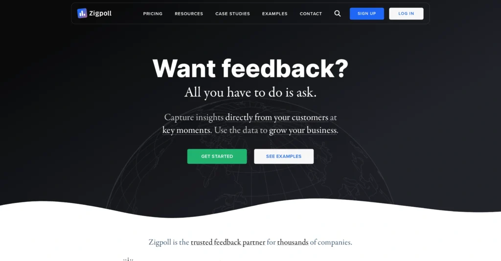Zigpoll interface showing homepage
